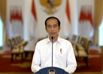 Pernyataan Resmi Presiden RI Mengenai UU Cipta Kerja, Begini Penjelasannya  !