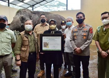 Beri Kelonggaran, Bupati Tinjau Langsung Konservasi Satwa TSI