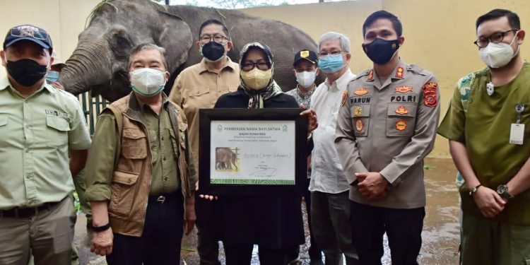 Beri Kelonggaran, Bupati Tinjau Langsung Konservasi Satwa TSI